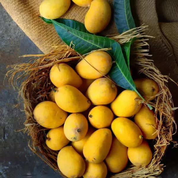 कार्बाइड वाले आम