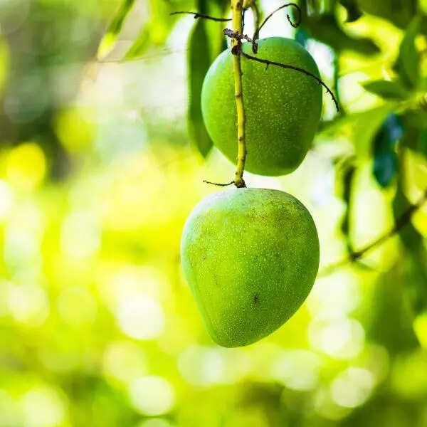 ऐसे आम खाएं