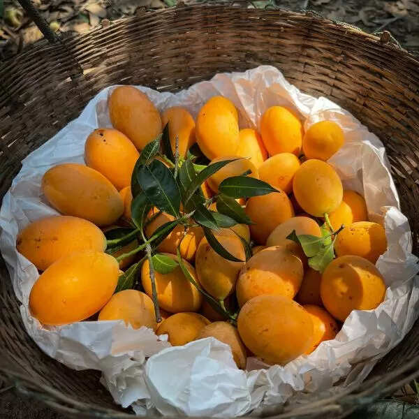 हाई ग्लाइसेमिक इंडेक्स