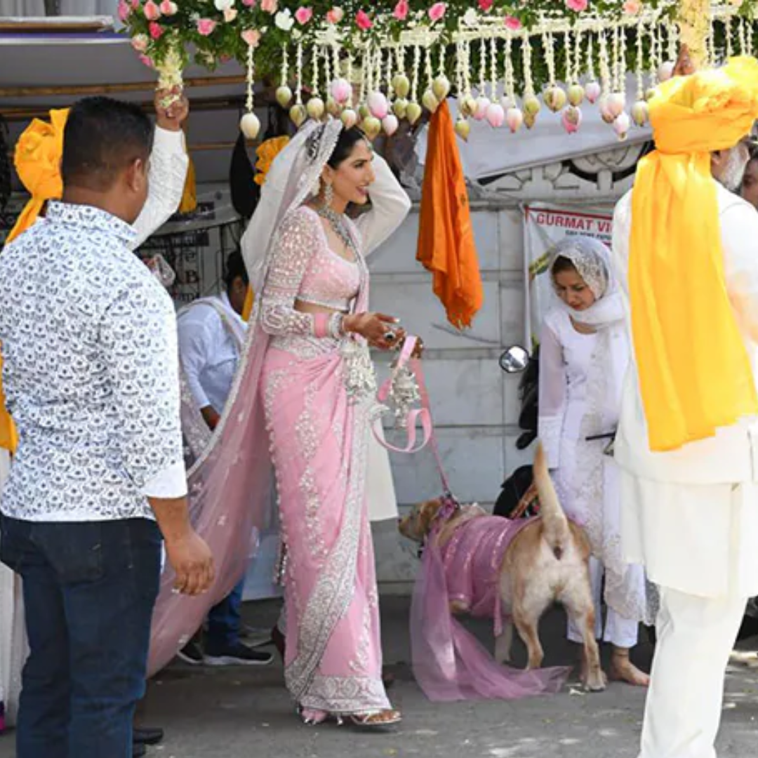 पेट डॉग संग दिखीं Sonnalli Seygalls