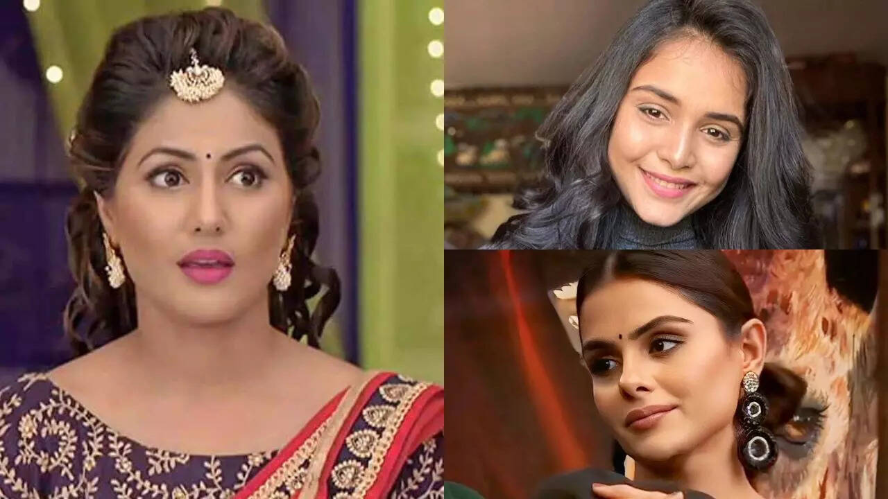 Bigg Boss के लिए इन स्टार्स ने मिनटों में छोड़ा अपना हिट TV शोज आज तक नहीं हुआ पछतावा