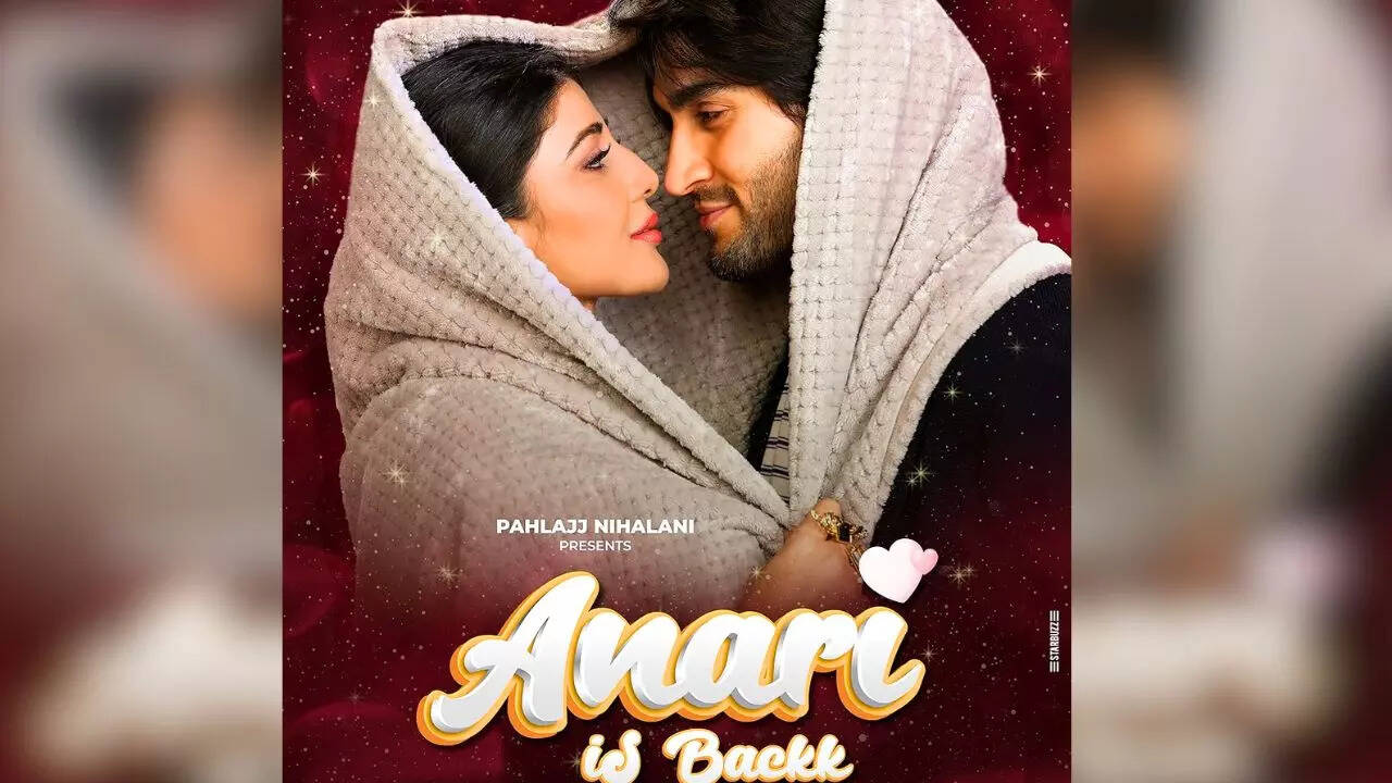 Anari Is Back Movie Hindi Review