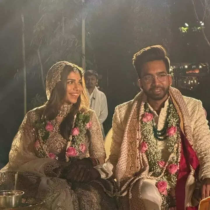 शर्मिन ने अमन संग की शादी