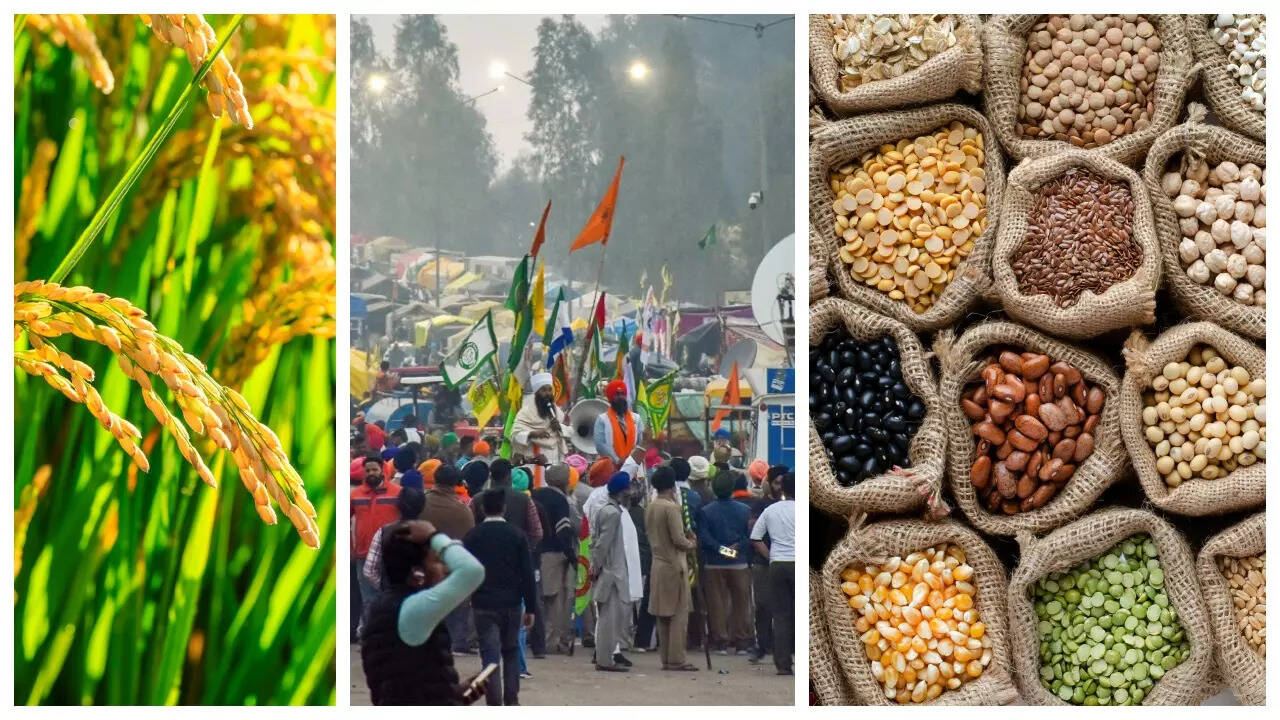 सबसे पहले गेहूं पर MSP की शुरुआत