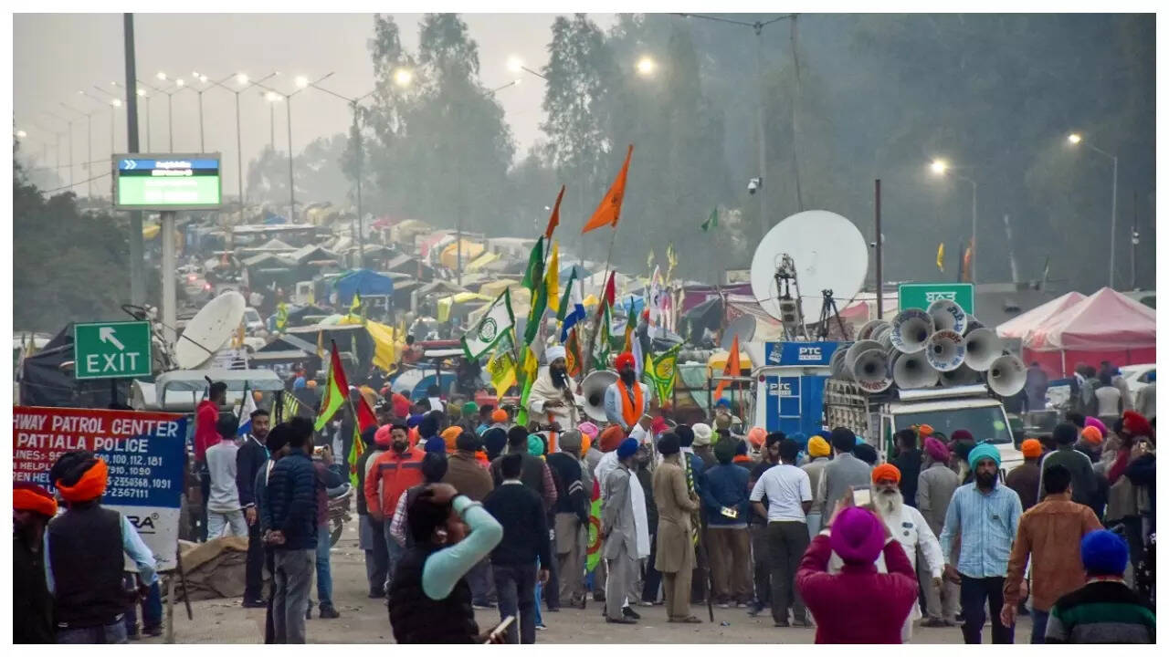 क्या है न्यूनतम समर्थन मूल्य दर MSP