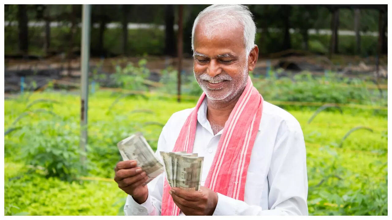 सरकार हर फसल पर MSP नहीं देती