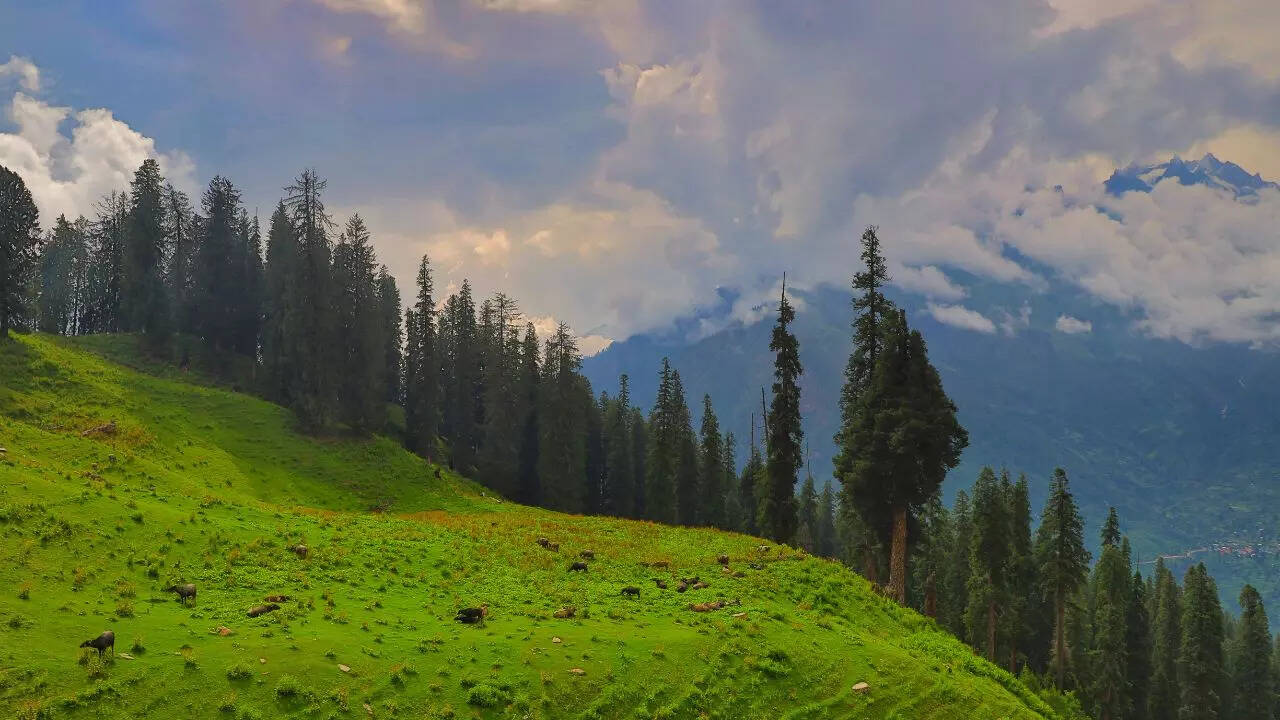 हिमाचल प्रदेश में घूमने की ये हैं सबसे बेस्ट जगह गर्लफ्रेंड संग जरूर करें विजिट