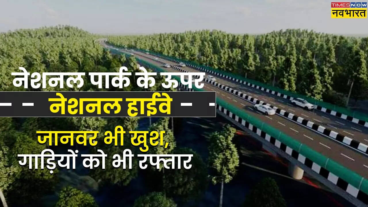 नेशनल पार्क के ऊपर से गुजरेगा यह Expressway, नीचे जानवर और ऊपर गाड़ियां ...