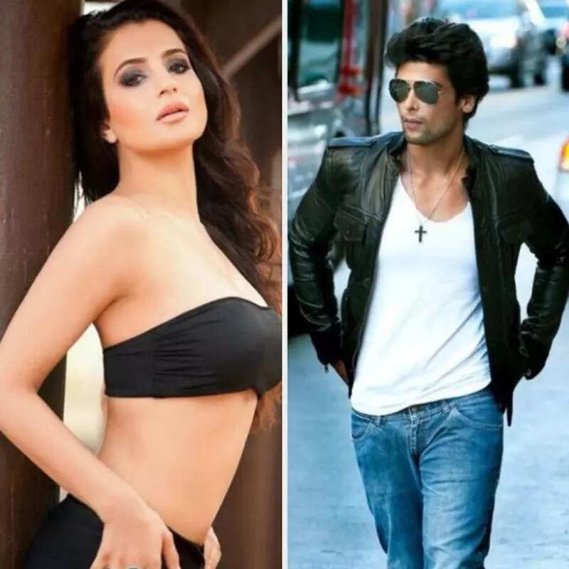 अमीषा पटेल-कुशाल टंडन