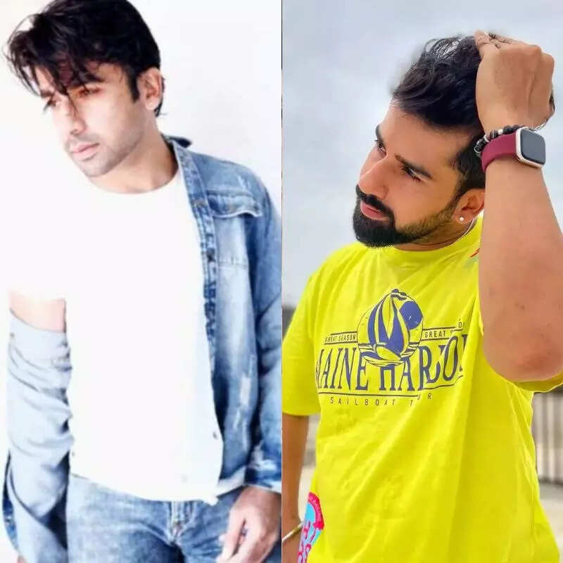 आशीष मेहरोत्रा Ashish Mehrotra