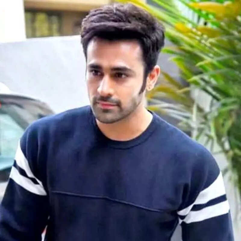 पर्ल वी पुरी Pearl V Puri