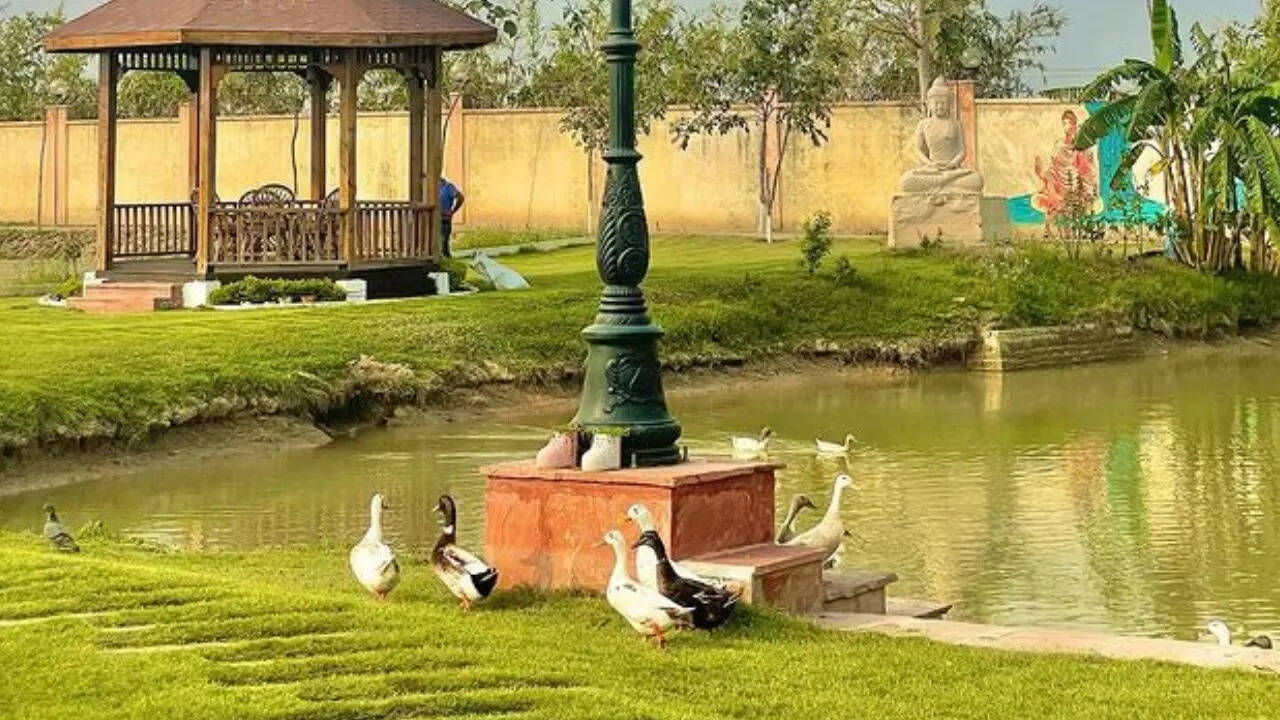 बंगले के अंदर है काफी बड़ा लॉन