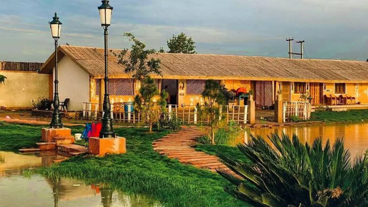 आलीशान बंगले की चारदीवारी में की जाती है खेती