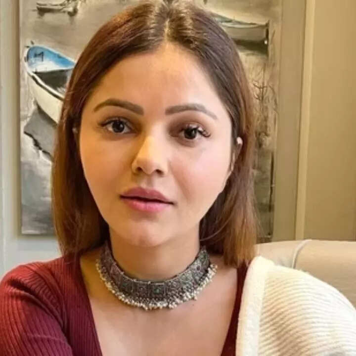रुबीना दिलैक