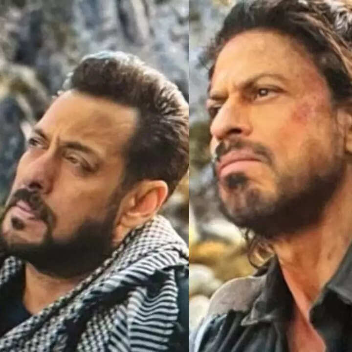 टाइगर वर्सेज पठान