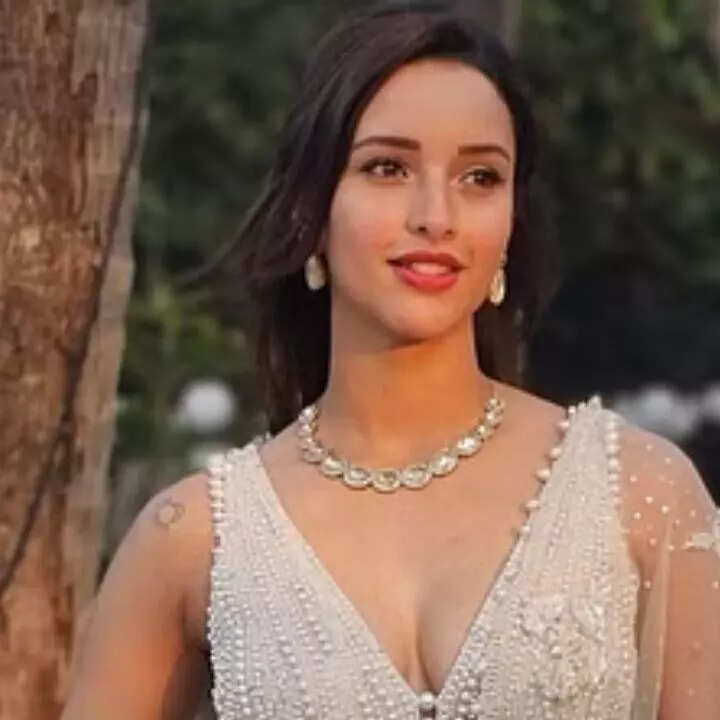 एनिमल से मिला फेम