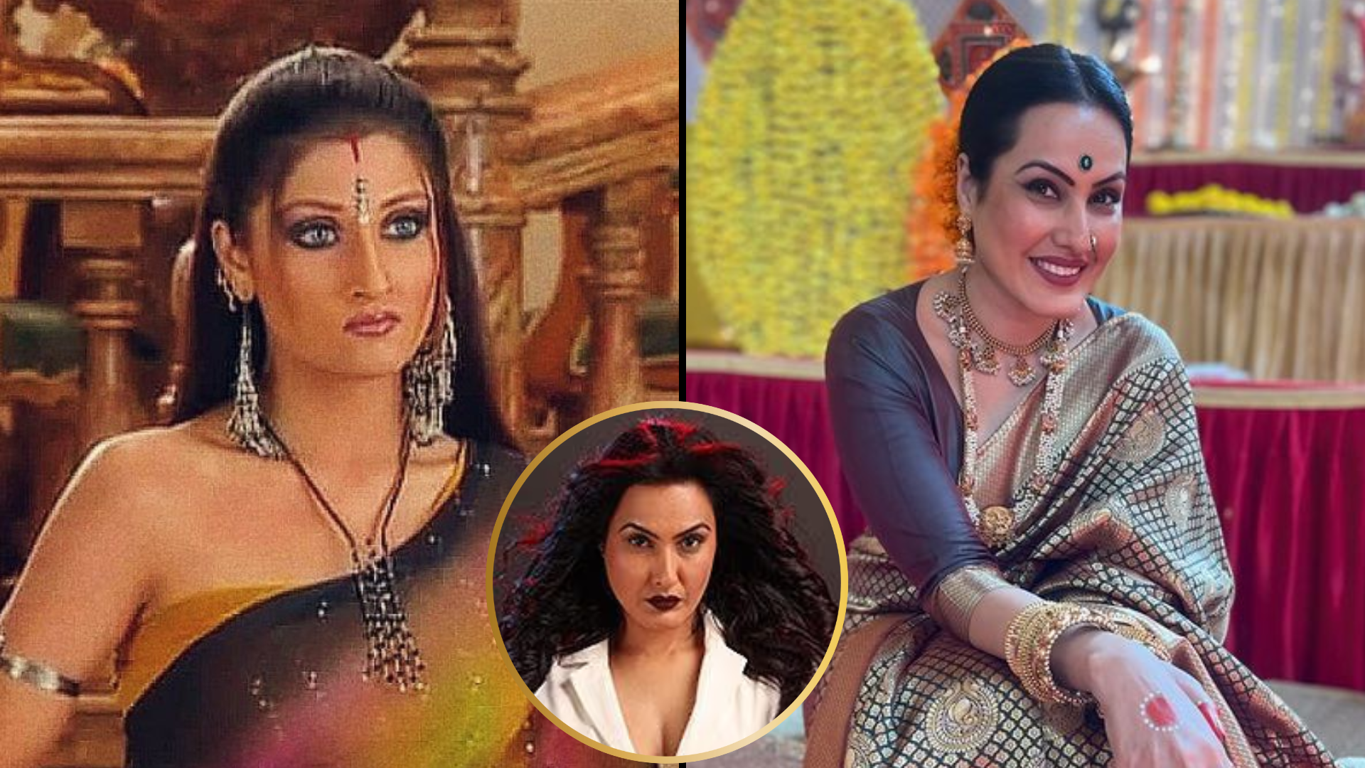 वैम्प बनकर TV पर चालबाजी करती थी ये हसीनाएं