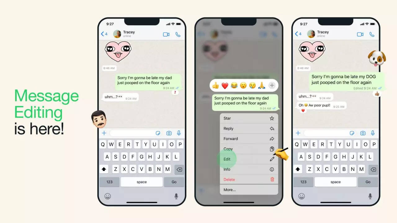 एडिट मैसेज ऑप्शन Edit Message Options