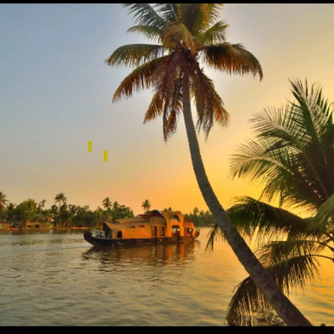 अलपुज्जा बैक वॉटर की ये सुनहरी आभा आपको इस दुनिया से दूर किसी और ही लोक में ले जाएगी।