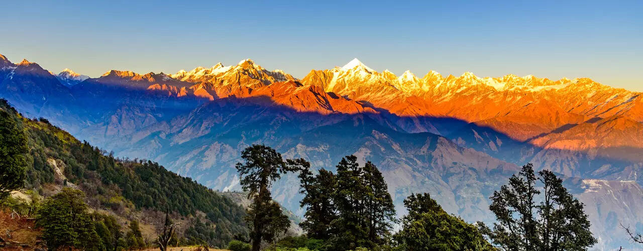तांबई हिमालय