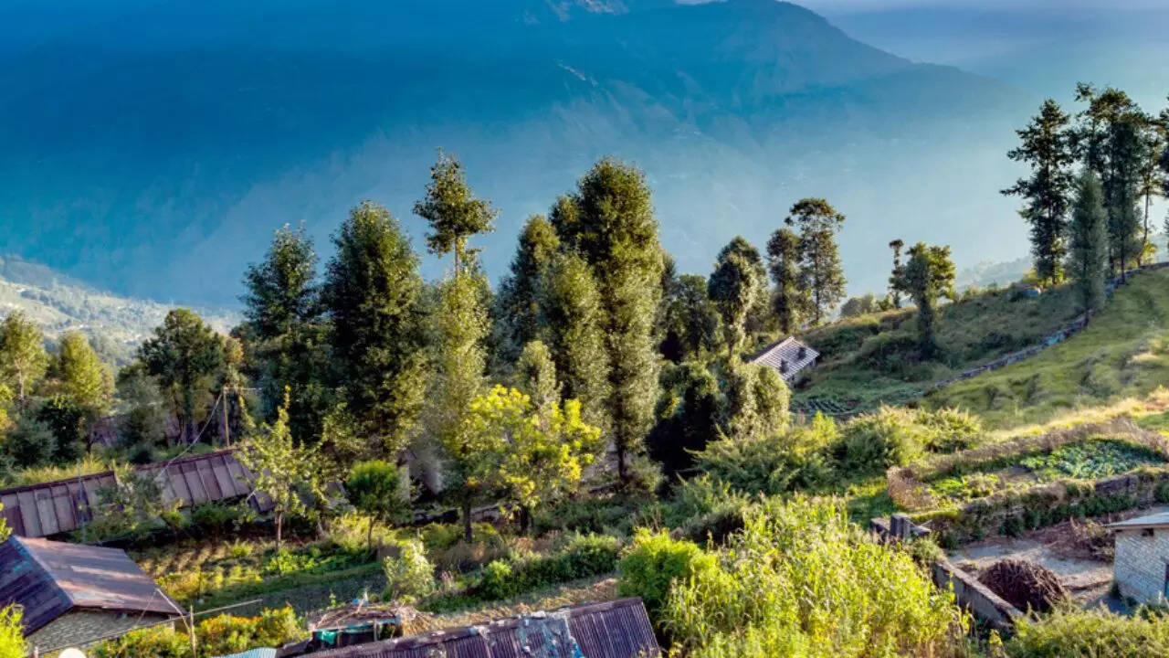 हरा-भरा संसार