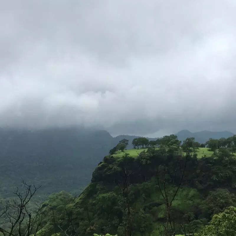 हरियाणा में ठंडे पड़े सूरज के तेवर