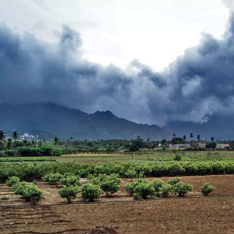 बिहार पहुंचा मानसून