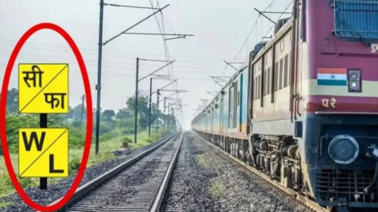 सीफा का फुल फॉर्म