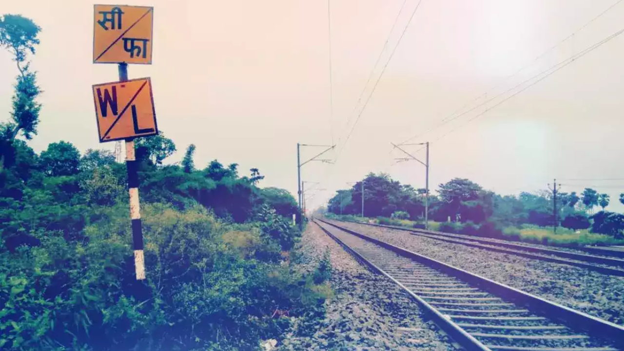 सीफा और WL के बोर्ड