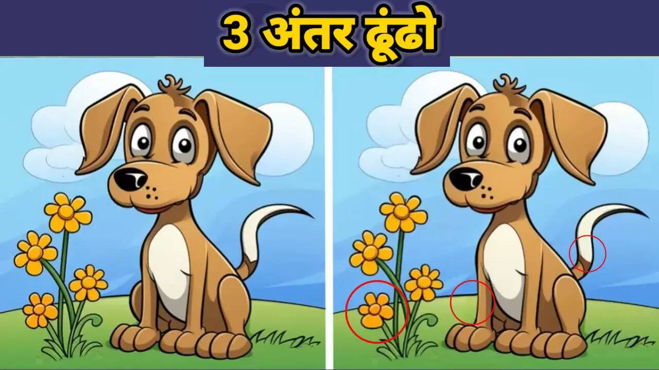लाल घेरे में दिख जाएंगे तीन अंतर
