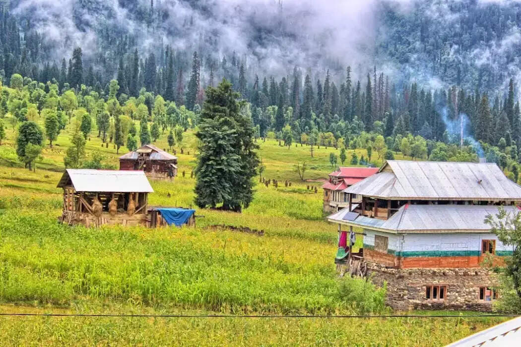 ​आरंग केल​