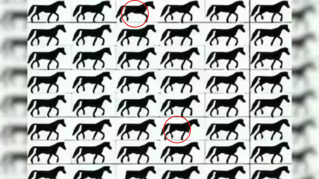 ​लाल घेरे में जवाब​