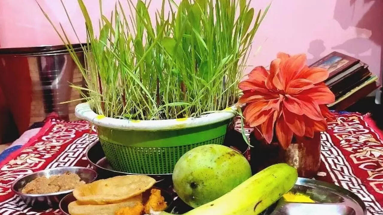 सावन का हरेला खास क्यों