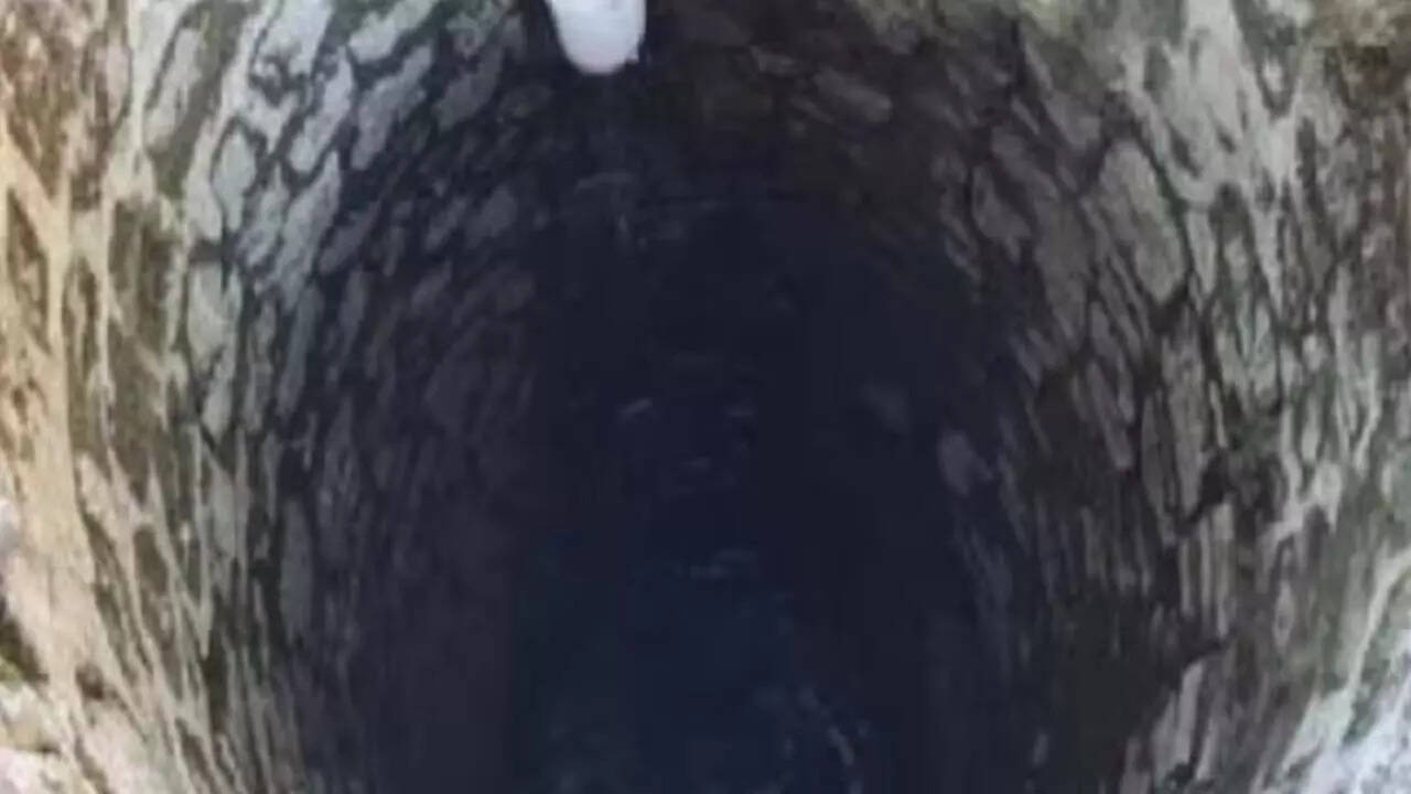 धौला कुआं नाम क्यों