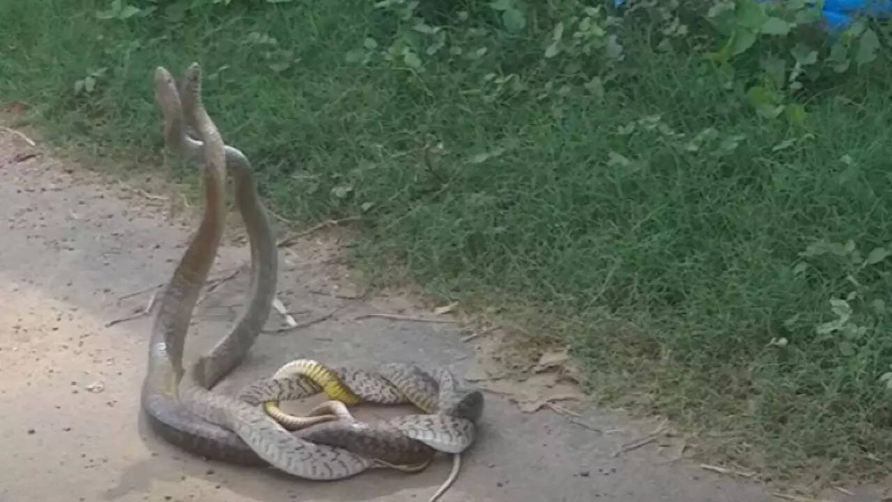 फोटो खिंचने की बात पूरी तरह निराधार