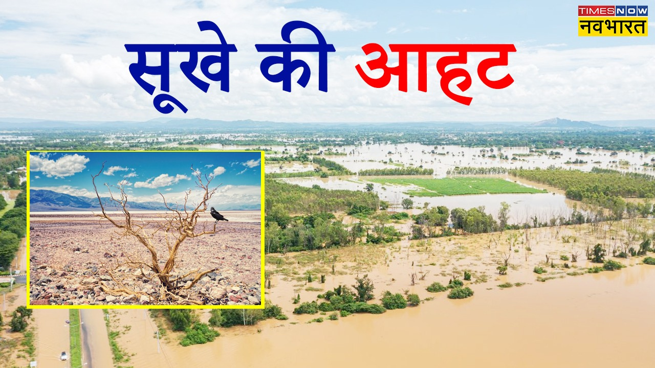 बिहार में सूखा