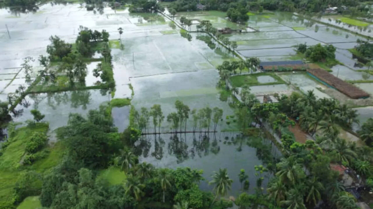 IMD ने जारी की चेतावनी