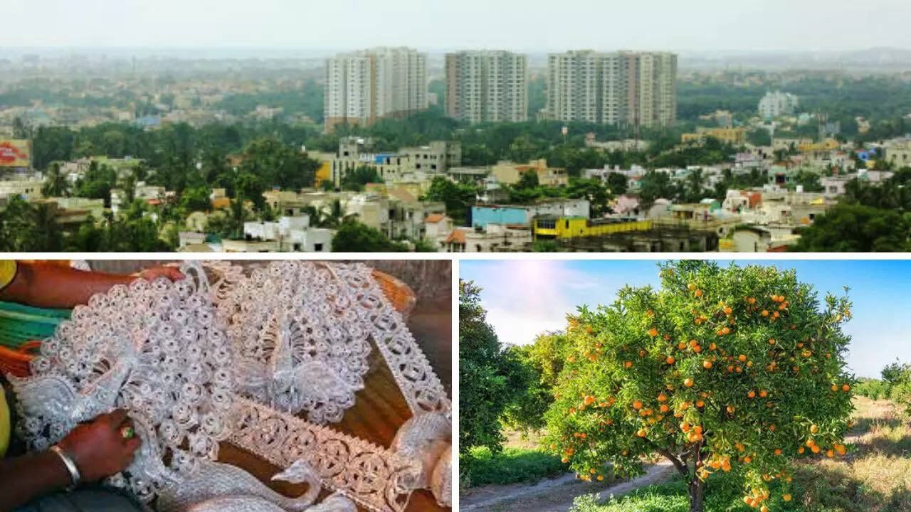 सिल्वर सिटी और ऑरेंज सिटी