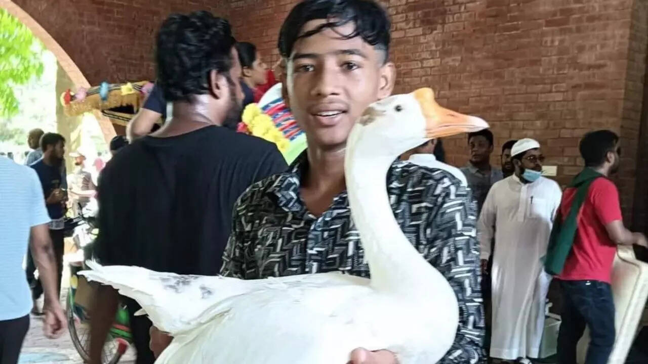 बांग्लादेश में हिंसक प्रदर्शन के बीच प्रदर्शनकारी लूट पर उतर आए हैं।