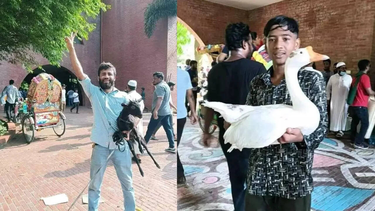 पीएम आवास में बकरा भी लूटा