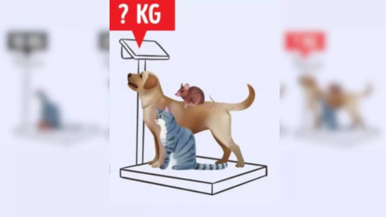 क्या होगा तीनों का कुल वजन