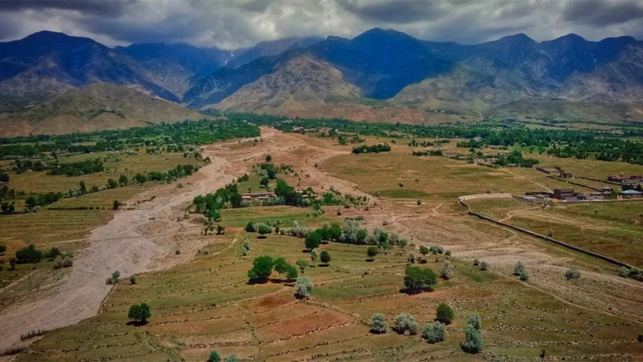 कॉरपोरेट फार्मिंग और रियल एस्टेट बिजनेस