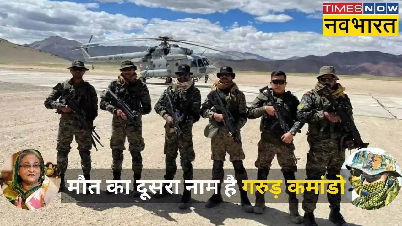 कड़ी ट्रेनिंग से तैयार होते हैं गरुड़