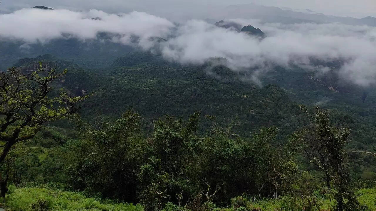 अक्टूबर से जून आने का सबसे सही समय