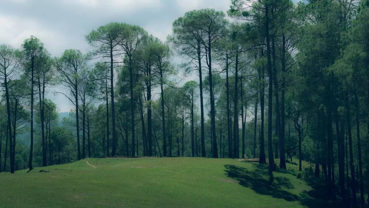 रानीखेत