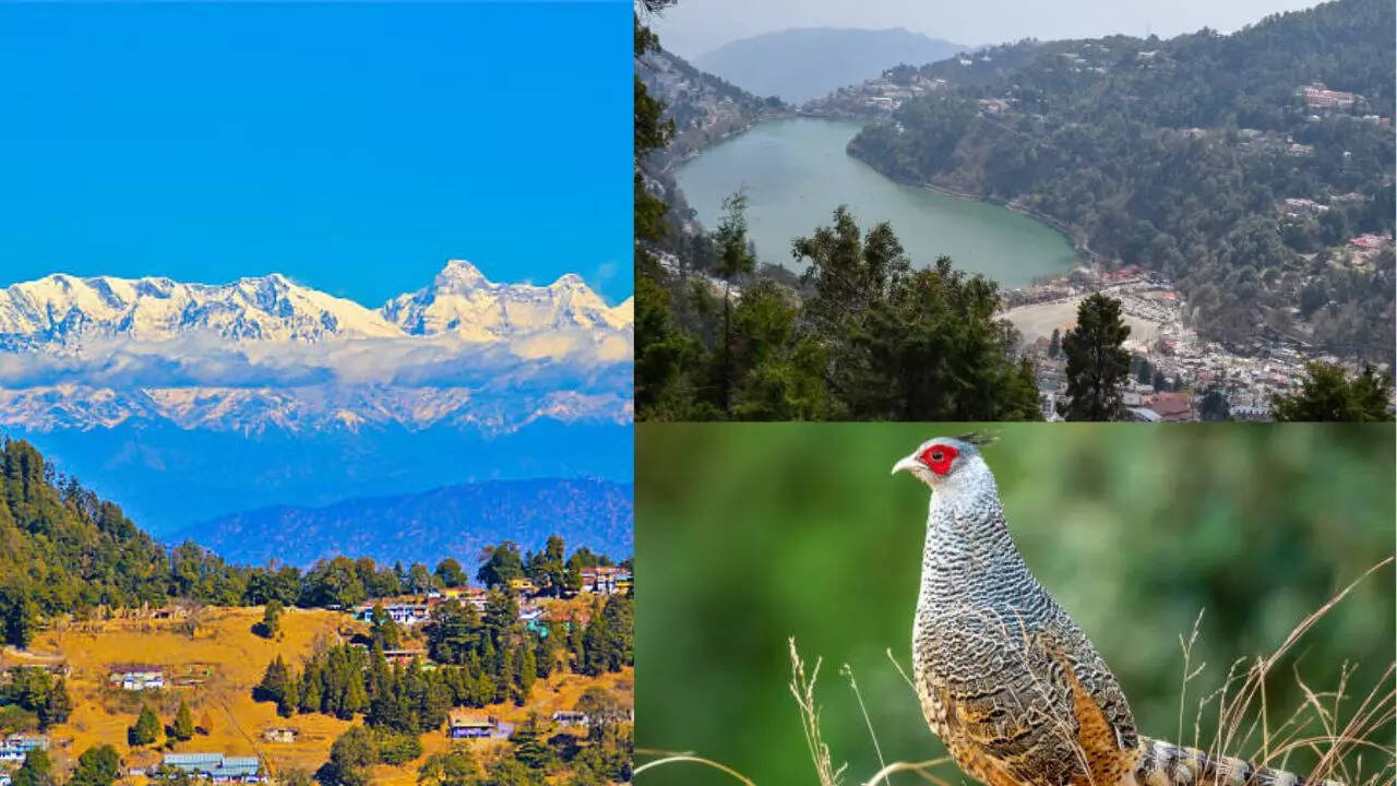 स्वामी विवेकानंद की पसंदीदा जगह