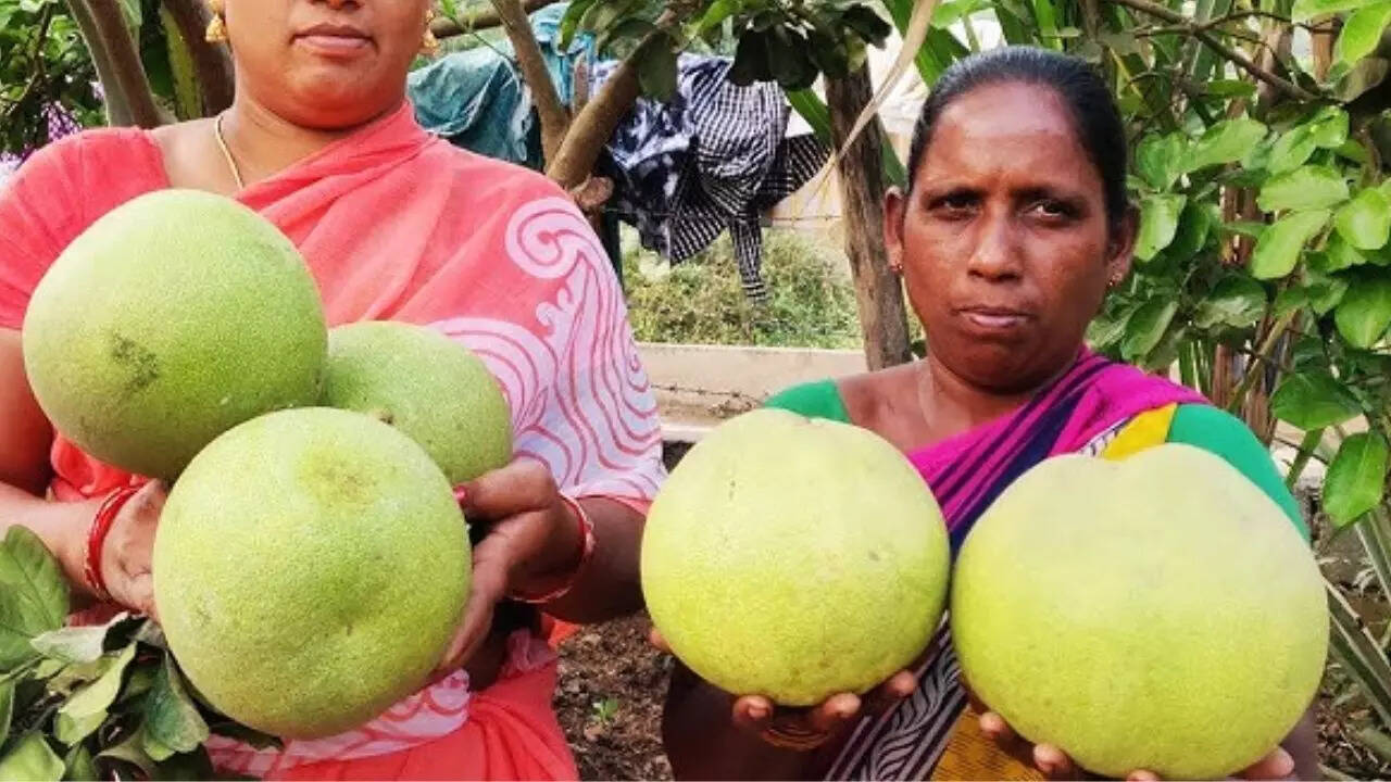 मशीन की सहायता से निकाला जाता है रस