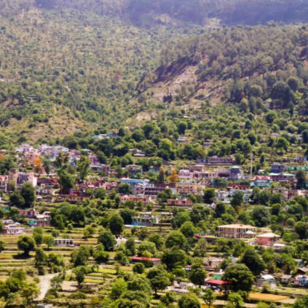 कितने उपखंड और तहसील