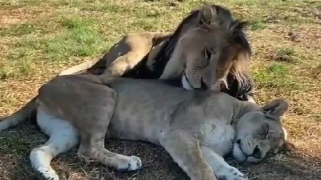 कबाब में हड्डी नहीं बनते थे दोस्त