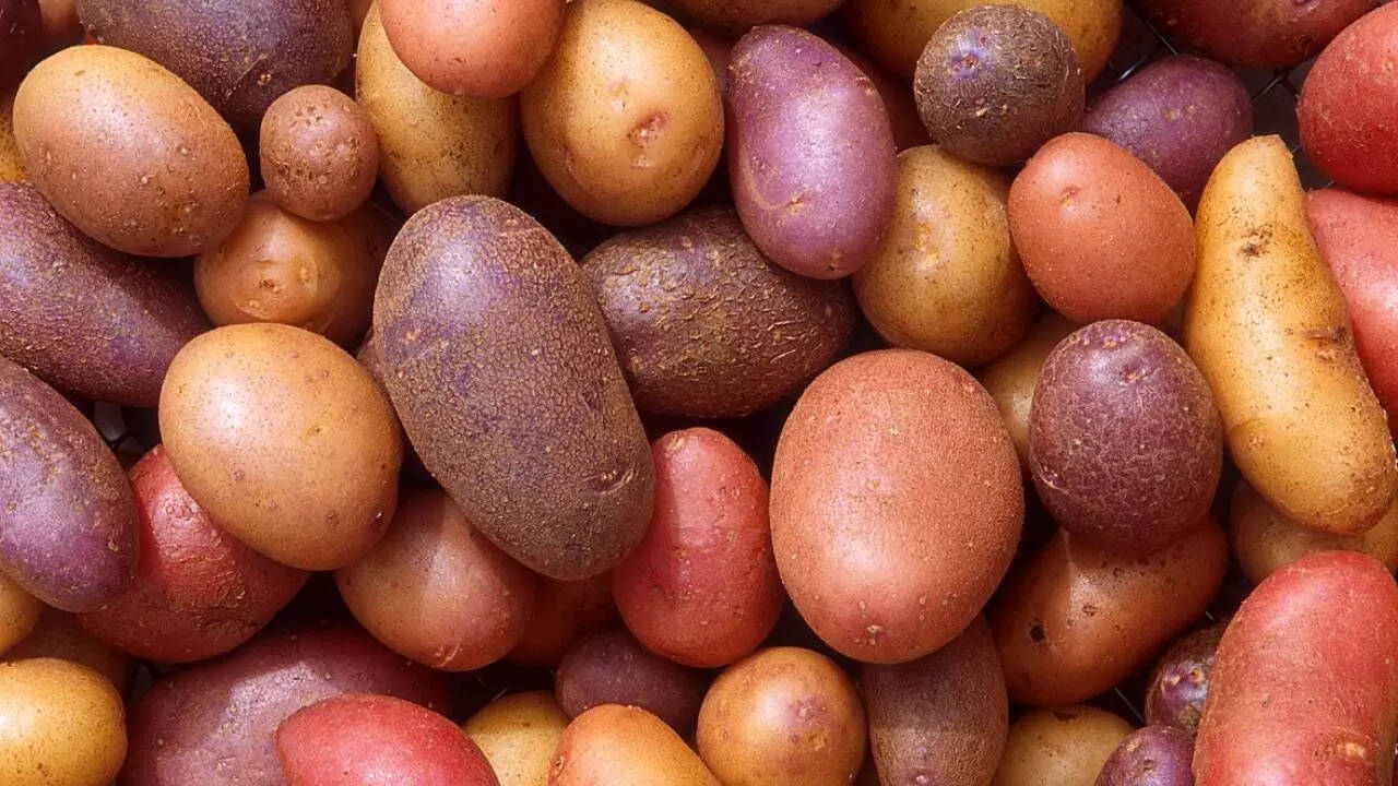 साठा आलू